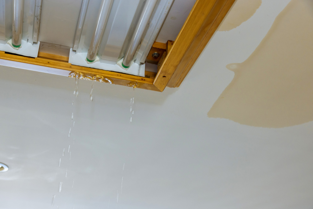 Roof Leak